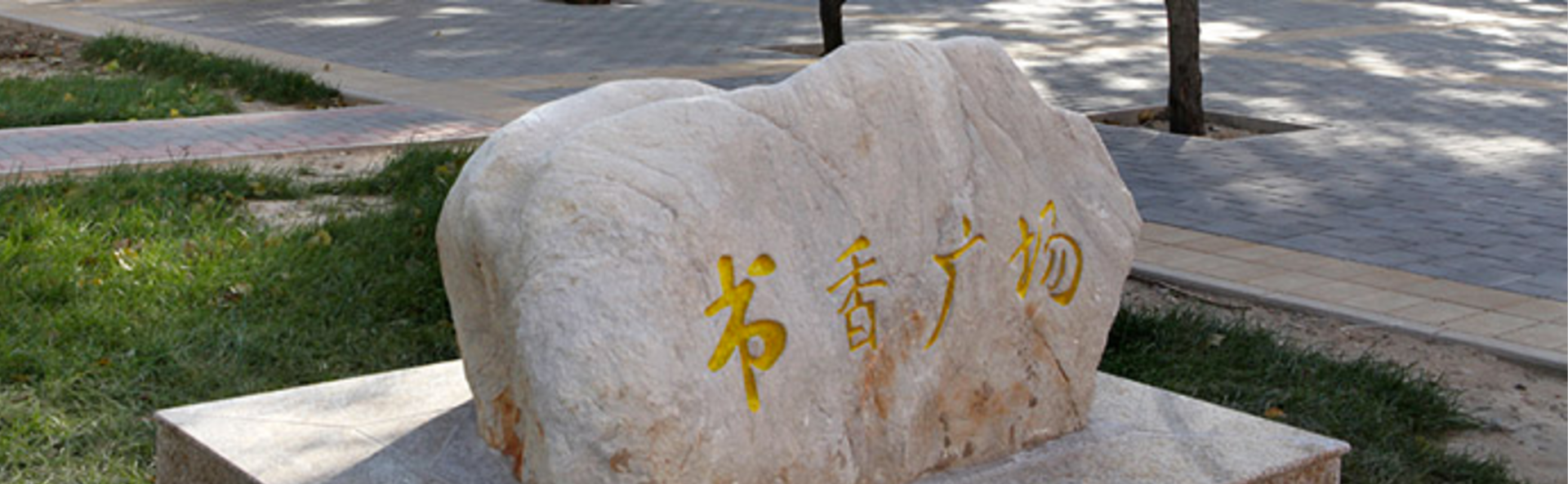 电竞实时数据网