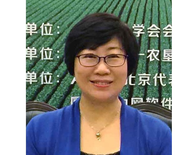 电竞实时数据网